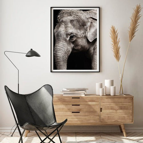 Animales - Studio MagArt