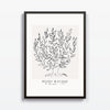 Árbol de Vida - Studio MagArt