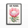 Be Kind – cuadro decorativo con marco negro | Studio MagArt