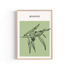 Bohème Eucalipto – cuadro decorativo con marco natural | Studio MagArt