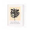 Botanical Collection Coral – cuadro decorativo con marco blanco | Studio MagArt