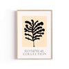 Botanical Collection Coral – cuadro decorativo con marco natural | Studio MagArt