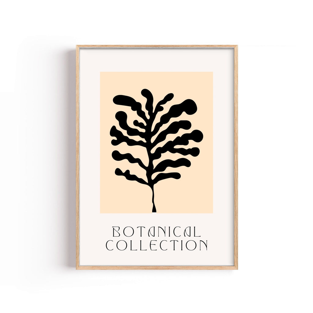 Botanical Collection Coral – cuadro decorativo con marco natural | Studio MagArt