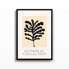 Botanical Collection Coral – cuadro decorativo con marco negro | Studio MagArt