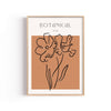 Botanical Terracota – cuadro decorativo con marco natural | Studio MagArt
