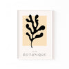 Botanique Coral – cuadro decorativo con marco blanco | Studio MagArt