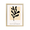 Botanique Coral – cuadro decorativo con marco dorado | Studio MagArt