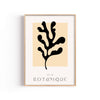 Botanique Coral – cuadro decorativo con marco natural | Studio MagArt