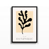 Botanique Coral – cuadro decorativo con marco negro | Studio MagArt
