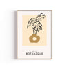 Botanique Monstera – cuadro decorativo con marco natural | Studio MagArt