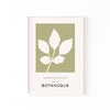 Botanique Olivo – cuadro decorativo con marco blanco | Studio MagArt