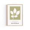 Botanique Olivo – cuadro decorativo con marco natural | Studio MagArt