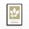 Botanique Olivo – cuadro decorativo con marco negro | Studio MagArt