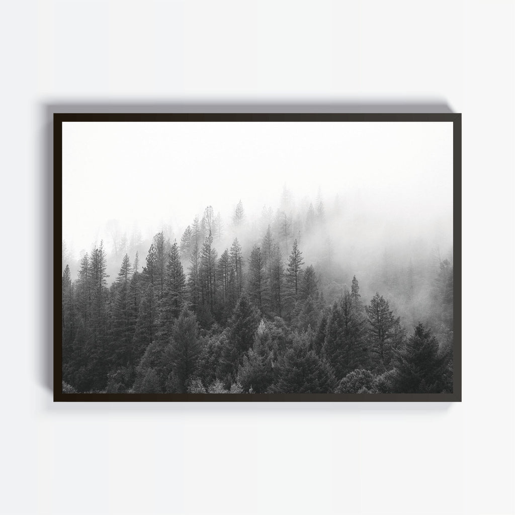 Forest cuadro decorativo para sala moderna | arte para hogar | Studio MagArt