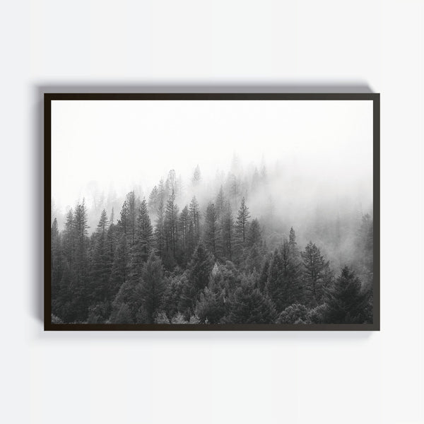 Forest cuadro decorativo para sala moderna | arte para hogar | Studio MagArt