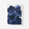 Midnight Bloom cuadro decorativo para sala moderna | arte para hogar | Studio MagArt
