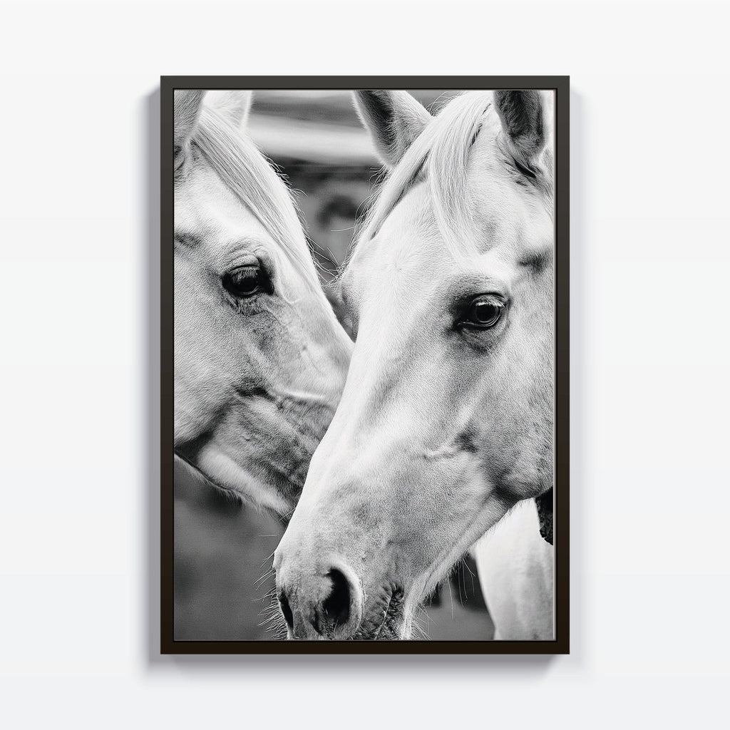 Mirada Noble cuadro decorativo para sala moderna | arte para hogar | Studio MagArt