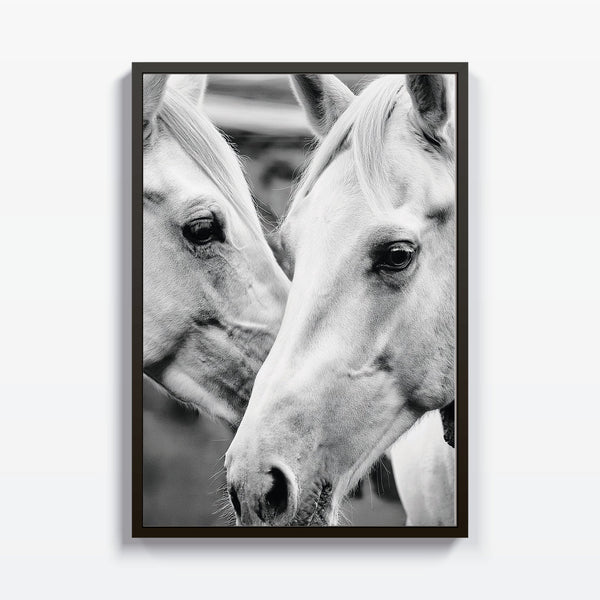Mirada Noble cuadro decorativo para sala moderna | arte para hogar | Studio MagArt