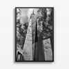 One World Trade Center - Studio MagArt