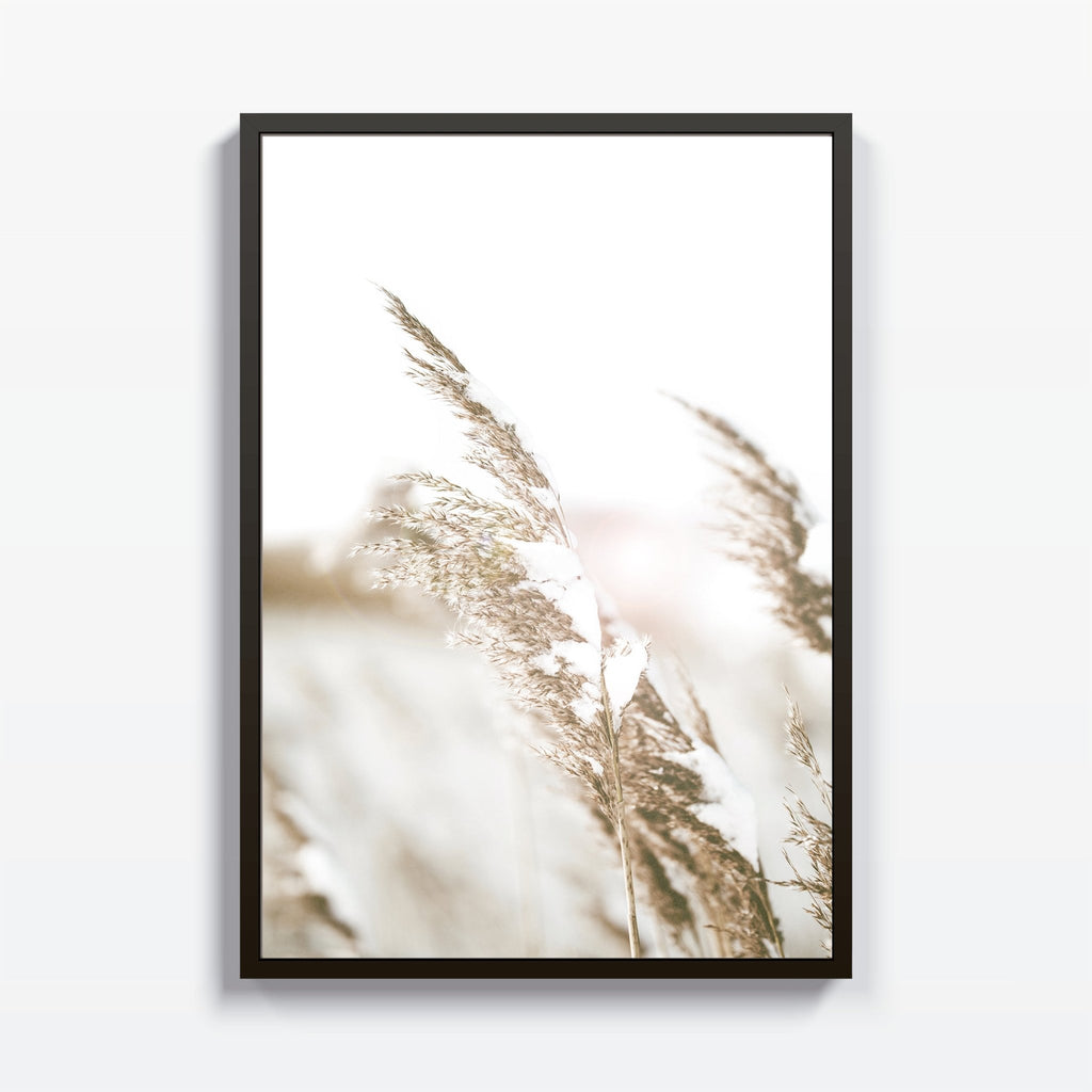 Pampas cuadro decorativo para sala moderna | arte para hogar | Studio MagArt