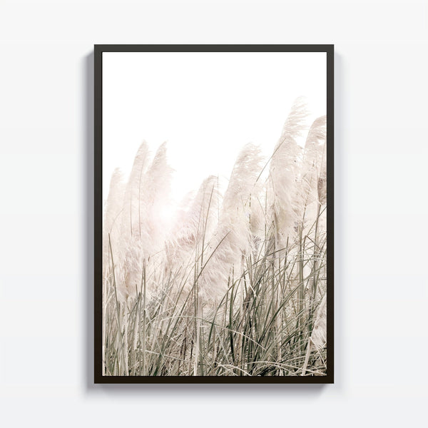 Pampas cuadro decorativo moderno para hogar | Studio MagArt