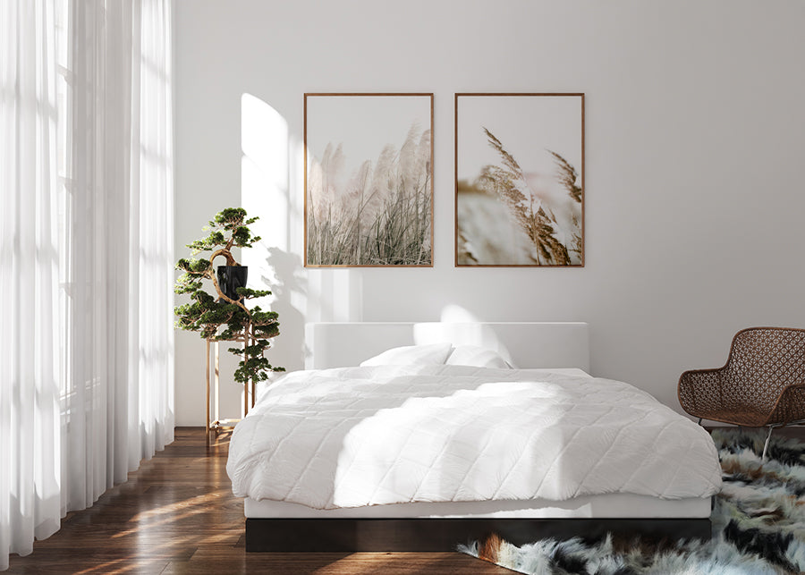 Pampas - Studio MagArt