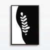 Planta Abs - Studio MagArt