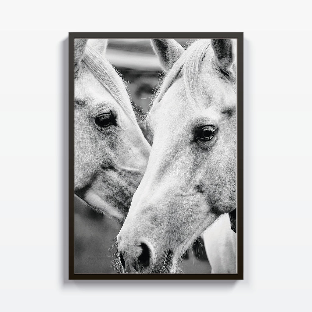 Mirada Noble - Studio MagArt