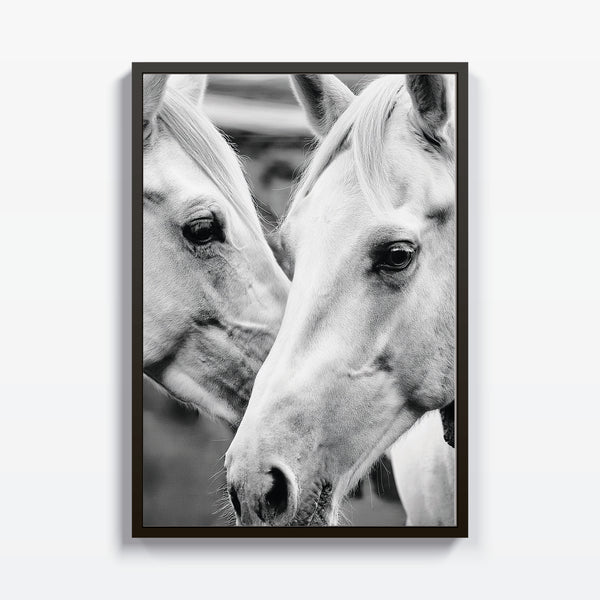 Mirada Noble - Studio MagArt