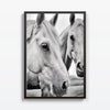 Armonía Equina - Studio MagArt