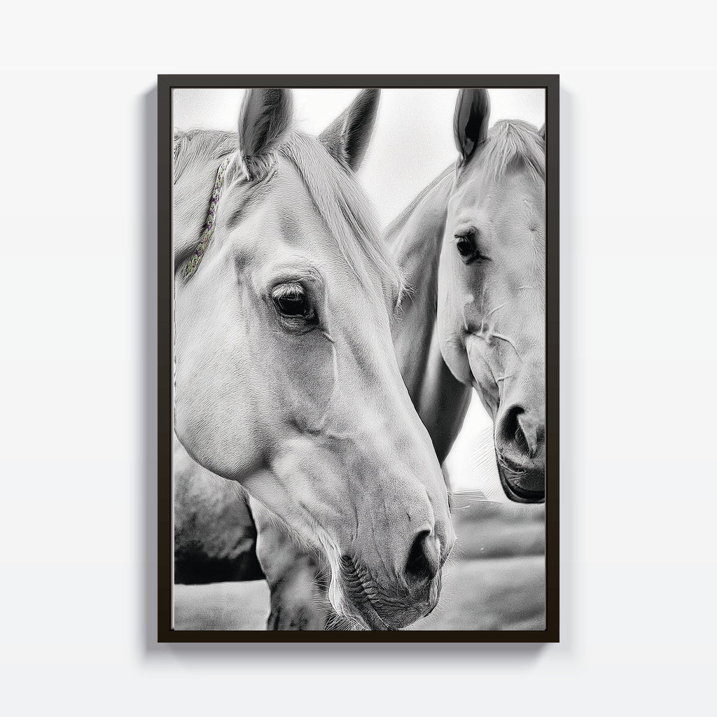 Armonía Equina - Studio MagArt