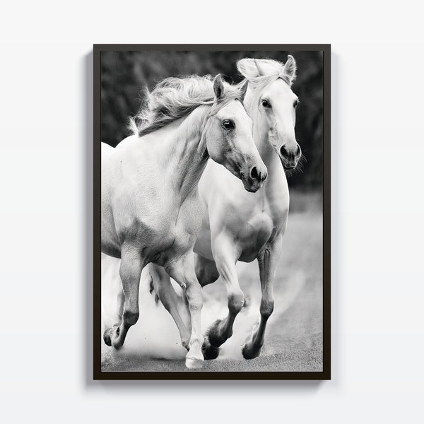 Libertad en Movimiento - Studio MagArt