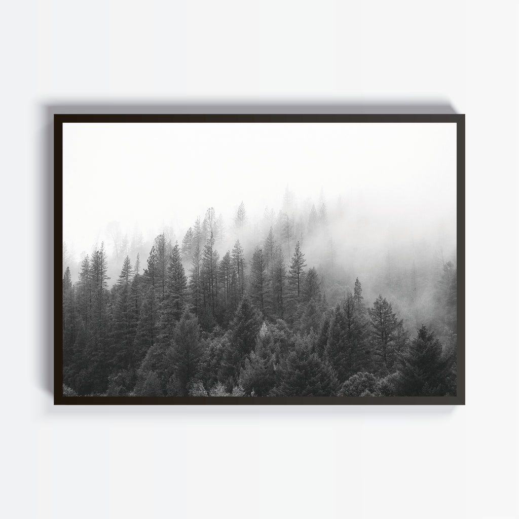 Forest - Studio MagArt