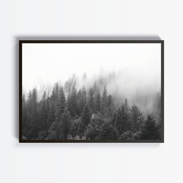 Forest - Studio MagArt