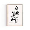 Tulipán en Tinta – cuadro decorativo con marco natural | Studio MagArt