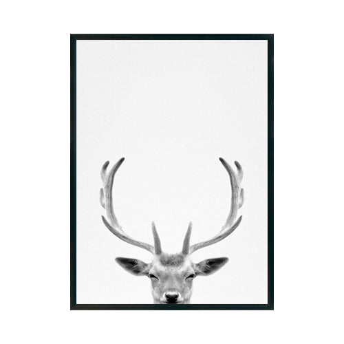 ALCE - Studio MagArt