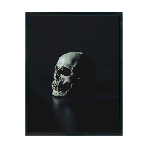 Skull - Studio MagArt
