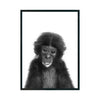 CHIMPANCE BEBE - Studio MagArt