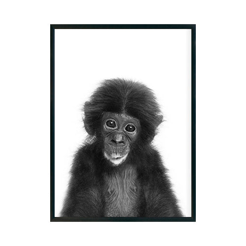CHIMPANCE BEBE - Studio MagArt