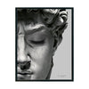 David cuadro decorativo para sala moderna | arte para hogar | Studio MagArt