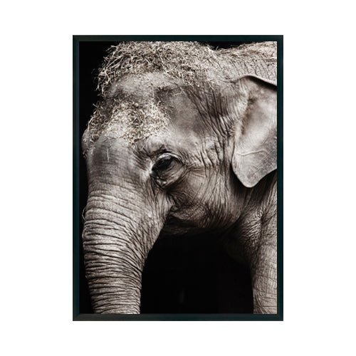 ELEFANTE cuadro decorativo para sala moderna | arte para hogar | Studio MagArt