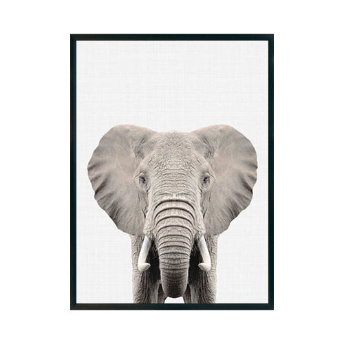 ELEFANTE - Studio MagArt