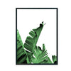 Hoja de Plátano cuadro decorativo para sala moderna | arte para hogar | Studio MagArt
