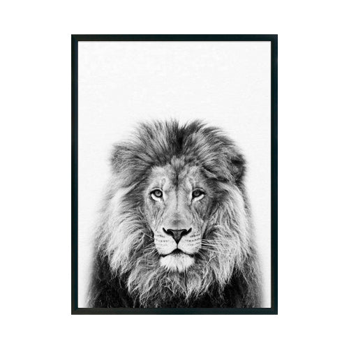 LEÓN - Studio MagArt