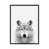 LOBO - Studio MagArt