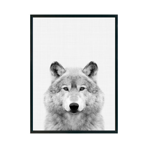 LOBO - Studio MagArt