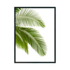 Palmera cuadro decorativo para sala moderna | arte para hogar | Studio MagArt
