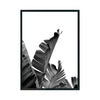Planta de Banano cuadro decorativo para sala moderna | arte para hogar | Studio MagArt