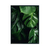 Planta Monstera cuadro decorativo para sala moderna | arte para hogar | Studio MagArt
