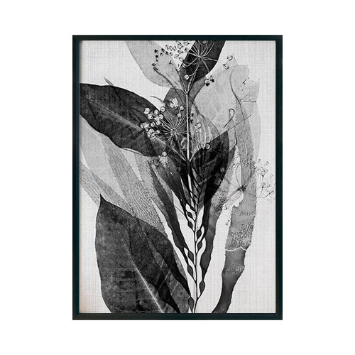 Planta Blanco y Negro - Studio MagArt